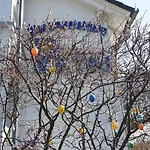 Meerblau Sellin (Rugen)